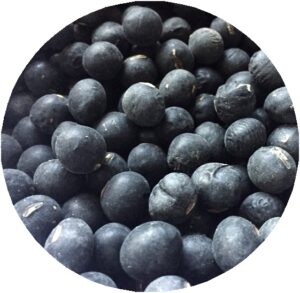 丹波黒豆のアップ画像
