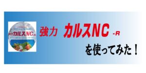 強力カルスNC-Rを使ってみた！