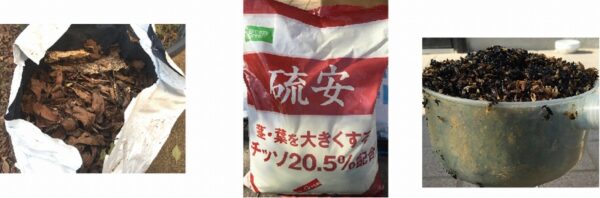 堆肥化する為にの材料・・枯れ葉・硫安・鶏糞（尿素）