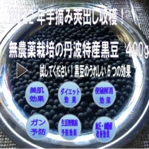無農薬栽培の丹波特産黒豆４００ｇ