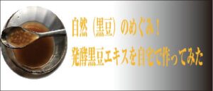 自然（黒豆）のぐみ！発酵黒豆エキスを自宅で作ってみた
