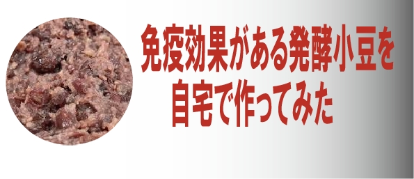 免疫効果がある発酵小豆を自宅で作ってみた