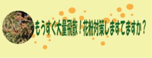 もうすぐ大量飛散！花粉対策していますか？