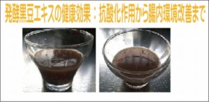 発酵黒豆エキスの健康効果：抗酸化作用から腸内環境改善まで