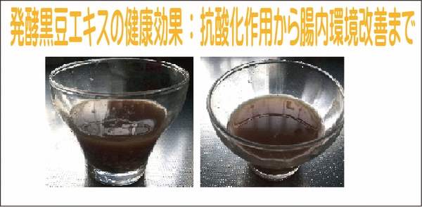 発酵黒豆エキスの健康効果：抗酸化作用から腸内環境改善まで