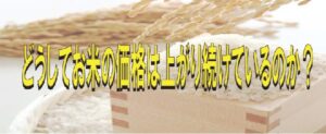 どうしてお米の価格は上がっり続けているのか？