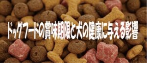 dogfood-header