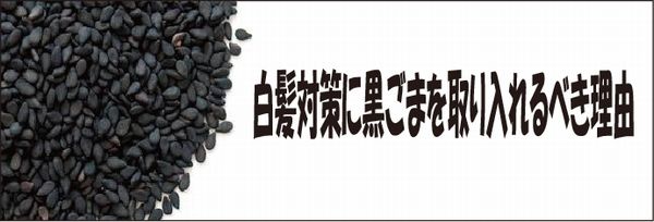 白髪対策に黒ごまを取り入れえるべき理由