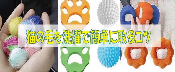 猫の毛を選択で簡単にとるコツ