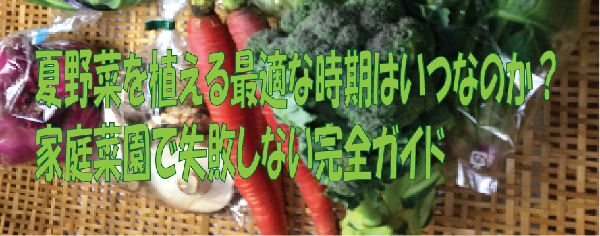 夏野菜を植える最適な時期はいつなの？家庭菜園で失敗しない完全ガイド