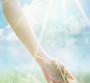 女性に肘に太陽の強い日差しが当たっている画像