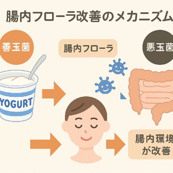 腸内フローラ改善のメカニズムのイラスト