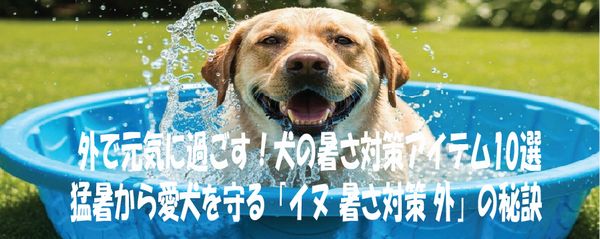 外で元気に過ごす！犬の暑さ対策アイテム10選 猛暑から愛犬を守る「イヌ 暑さ対策 外」の秘訣
