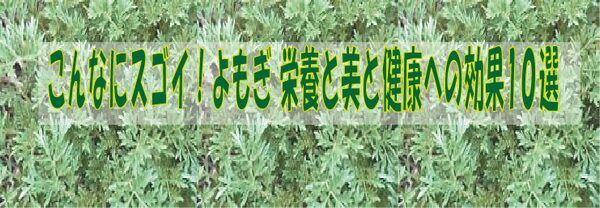 こんなにスゴイ！よもぎの美と健康への効果10選