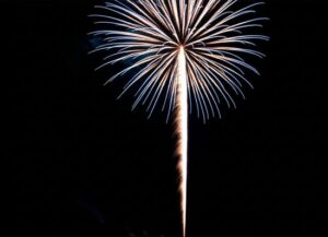 打ち上げ花火が打ち上げられ開花した画像