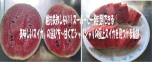 絶対失敗しない！スーパーで一発判別できる「美味しいスイカ」の選び方〜甘くてシャリシャリの極上スイカを見つける秘訣