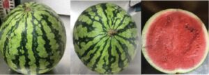 赤いスイカの横と上半分のkカットした画像