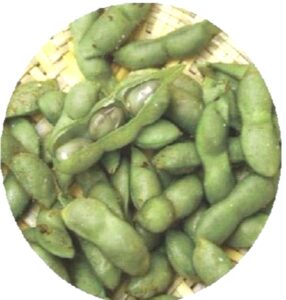 湯がかれた丹波黒豆枝豆