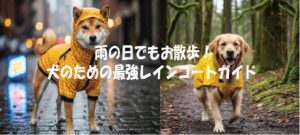 雨の日でもお散歩！ 犬のための最強レインコートガイド