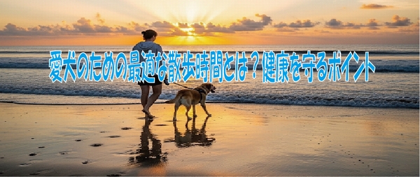 愛犬のための最適な散歩時間とは？健康を守るポイント