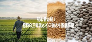 初心者必見！肥料の三要素とその働きを徹底解説