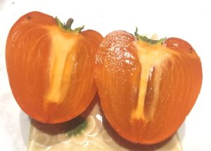 完熟の富士柿の断面画像