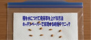 種を水につけて発芽率を上げる方法 キッチンペーパーで実現する時短テクニック
