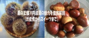 栗の王様！丹波栗の魅力を徹底解剖【渋皮煮からスイーツまで】