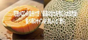 完熟メロンの見分け方！最高の甘さを手に入れる方法｜食べ頃のサインは「おしり」と「香り」