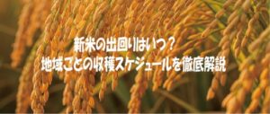 新米の出回りはいつ？地域ごとの収穫スケジュールを徹底解説