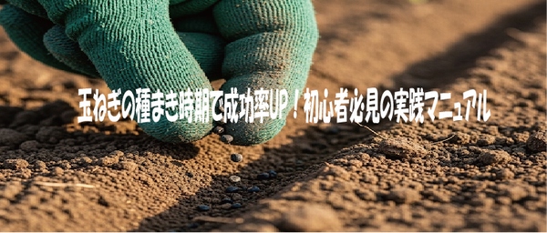 玉ねぎ種まき時期で成功率UP！初心者必見の実践マニュアル