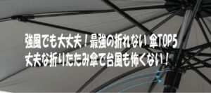 強風でも大丈夫！最強の折れない 傘TOP5｜丈夫な折りたたみ傘で台風も怖くない！