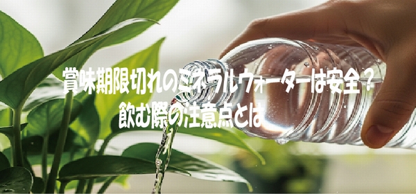 賞味期限切れのミネラルウォーターは安全？飲む際の注意点とは