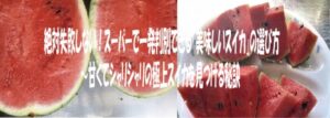 絶対失敗しない！スーパーで一発判別できる「美味しいスイカ」の選び方 〜甘くてシャリシャリの極上スイカを見つける秘訣