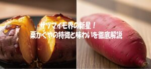サツマイモ界の新星！栗かぐやの特徴と味わいを徹底解説