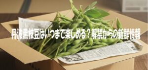 丹波黒枝豆はいつまで楽しめる？解禁からの新鮮情報