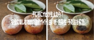 干し柿にカビが生えたら？安全に楽しむための徹底ガイド【白い粉・危険性・予防法を解説】
