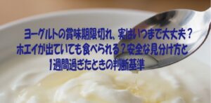 ヨーグルトの賞味期限切れ、実はいつまで大丈夫？ ホエイが出ていても食べられる？安全な見分け方と 1週間過ぎたときの判断基準
