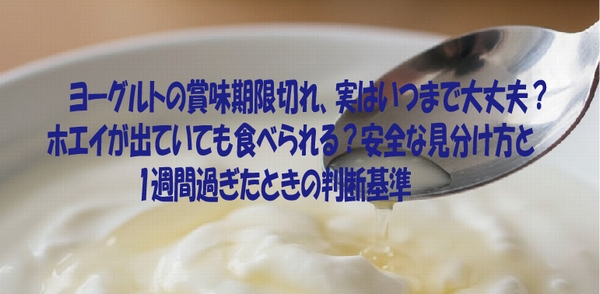 ヨーグルトの賞味期限切れ、実はいつまで大丈夫？ ホエイが出ていても食べられる？安全な見分け方と 1週間過ぎたときの判断基準