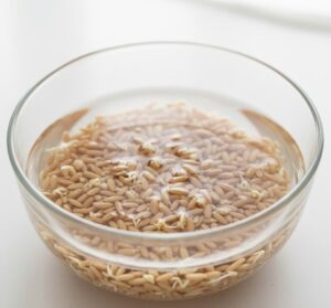 発芽玄米を浸水している様子