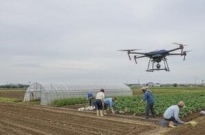 ドローンで農薬を散布している画像