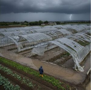 台風でビニールハウスにビニールが破けている画像