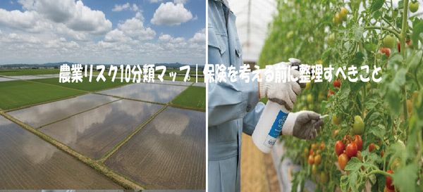 農業リスク10分類マップ｜保険を考える前に整理すべきこと