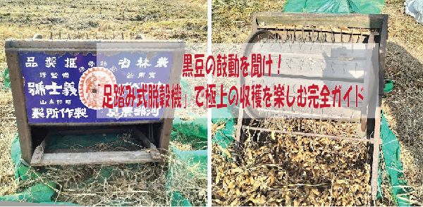 黒豆の鼓動を聞け！「足踏み式脱穀機」で極上の収穫を楽しむ完全ガイド