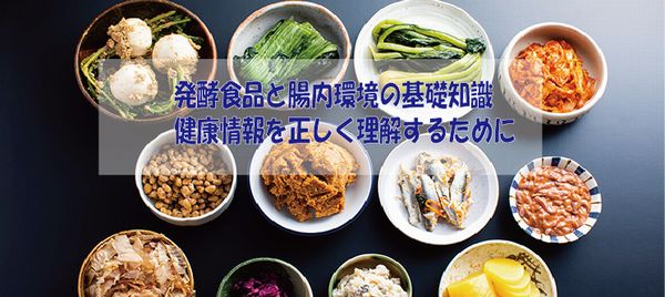 発酵食品と腸内環境の基礎知識｜健康情報を正しく理解するために