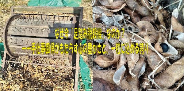 なぜ今「足踏み脱穀機」なのか？手仕事回帰がもたらす心の豊かさと、一粒に込める誇り