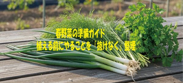 春野菜の準備ガイド植える前にやることを「抜けなく」整理