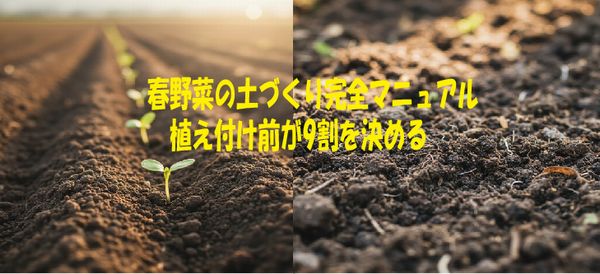 春野菜の土づくり完全マニュアル｜ 植え付け前が9割を決める