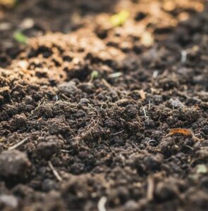春幸運して土壌の画像