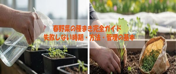 春野菜の種まき完全ガイド失敗しない時期・方法・管理の基本